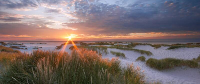 Sand dunes. A. Schnabler.
