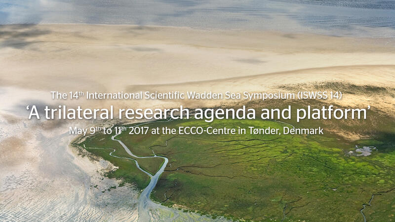 Salt marsh and mudflat. Danish Environmental Protection Agency. Salt marsh and mudflat. Danish Environmental Protection Agency.