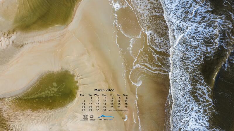 March 2022. (c) Janis Meyer/Waddenagenda.