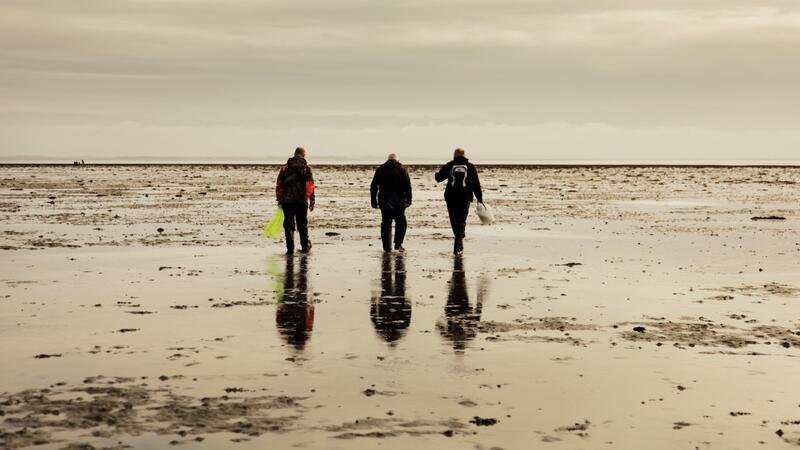 Three mudflat hikers searching for oysters. NAKUWA.