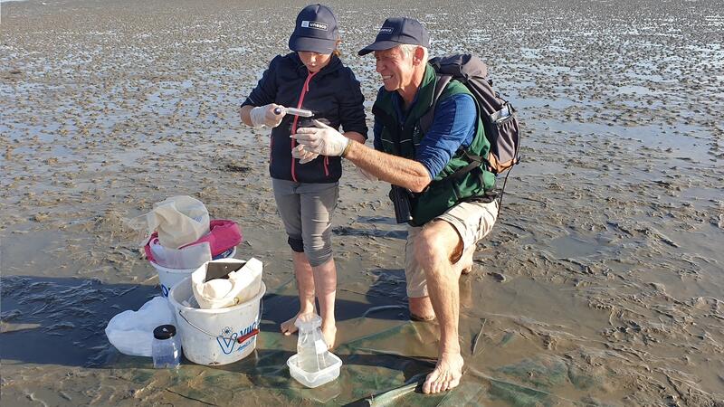 Sampling off Nordstrand. Silke Ahlborn/ LKN.SH.