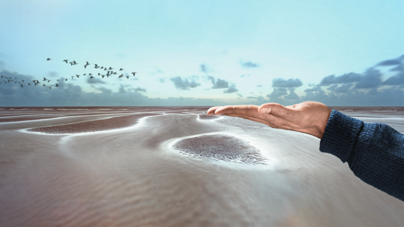 Where heaven and earth share the same stage. D. Westerkamp.
