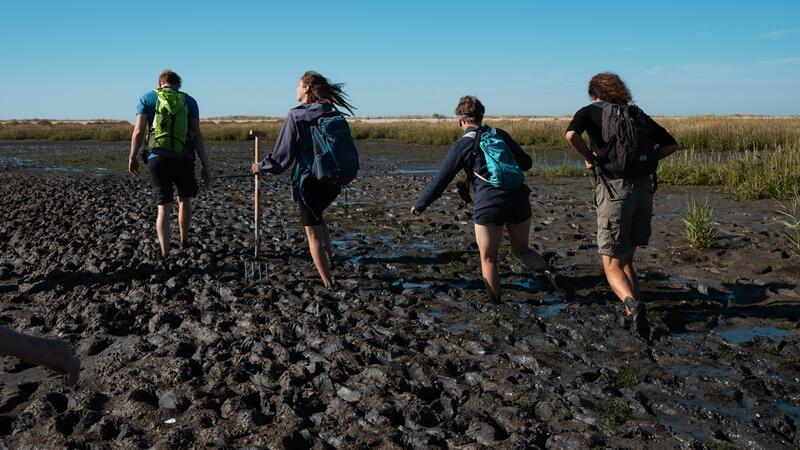 Summer mudflat walk. Waverunner/Lukas Gottwald.