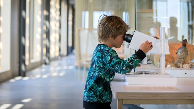 A boy looking through a microscope in an exhibition space. © Tjeerd Visser. A boy looking through a microscope in an exhibition space. © Tjeerd Visser.