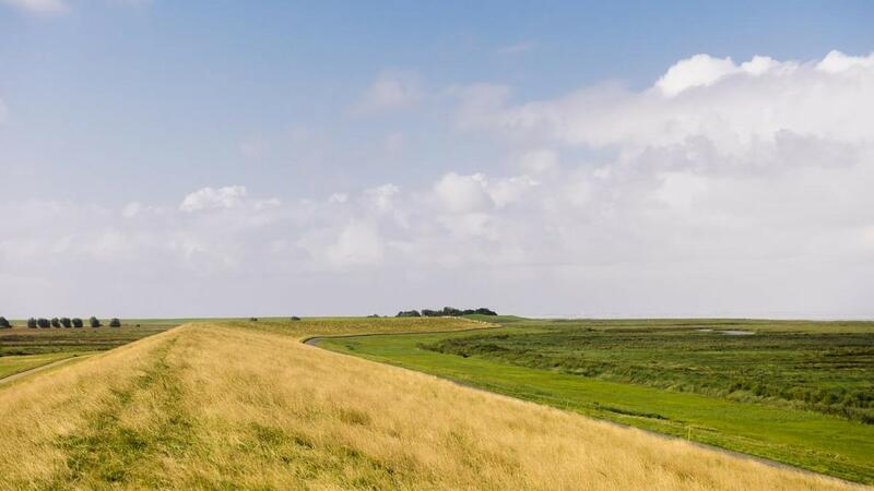 Dike with dry vegetation and flat green fields on left and right. © Marleen Annema/ Waddenagenda Dike with dry vegetation and flat green fields on left and right. © Marleen Annema/ Waddenagenda