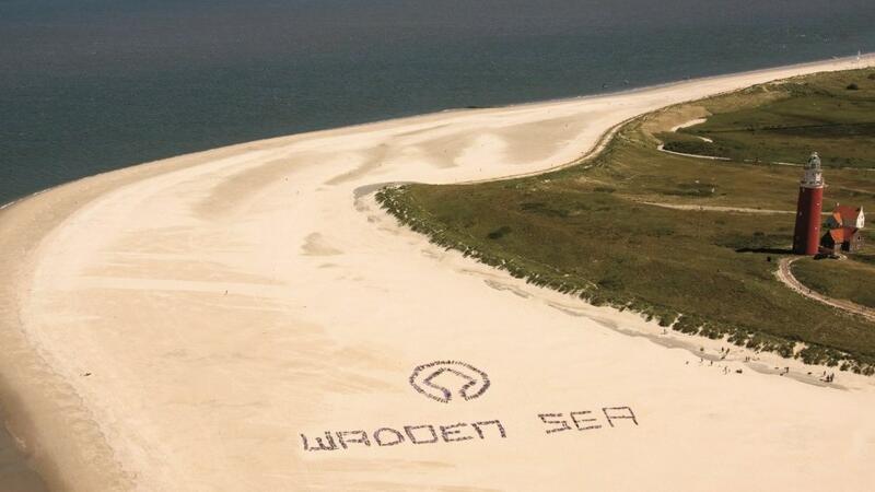 World Heritage tree at beach. Pieter de Vries.