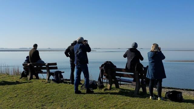A small group of people stand on flat land and look onto the sea, some with binoculars. © CWSS/Meise. 